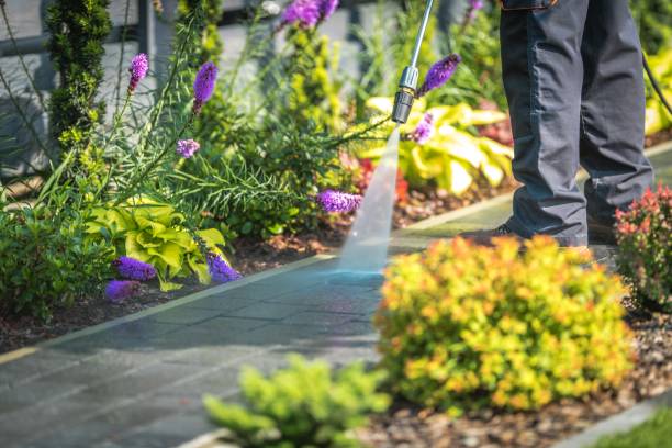 Trusted Battle Ground, WA Pressure Washing Experts